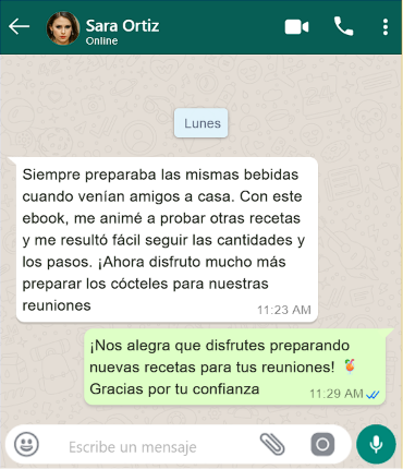 Captura del chat con el testimonio de Sara Ortiz