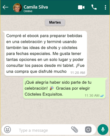 Captura del chat con el testimonio de Camila Silva